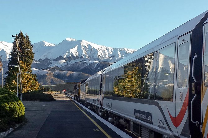 TranzAlpine Train Journey: Christchurch to Greymouth - Seating, viewing decks, and the cafe carriage