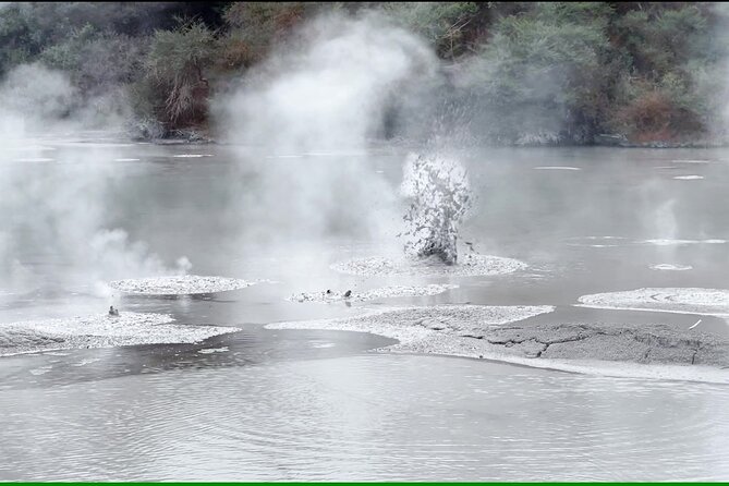 TRIPLE DEAL Wai-O-Tapu, Redwood Forest & Blue Springs Ex Auckland - Blue Spring and the Te Waihou Walkway