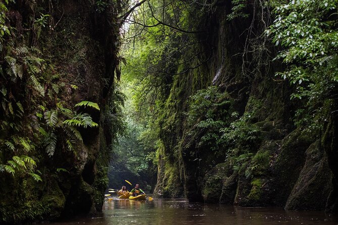 Twilight Glowworm Kayak Tour – Lake Karapiro - Who should book this kayak tour