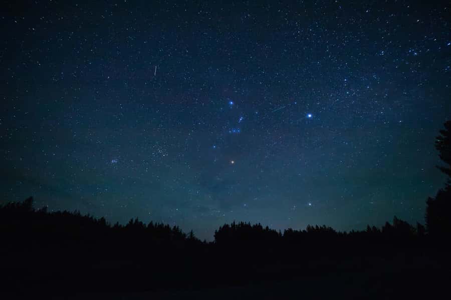 Twizel: Stargazing Tour with an Astronomer and Telescope - The Laser-Guided Tour of Stars and Constellations