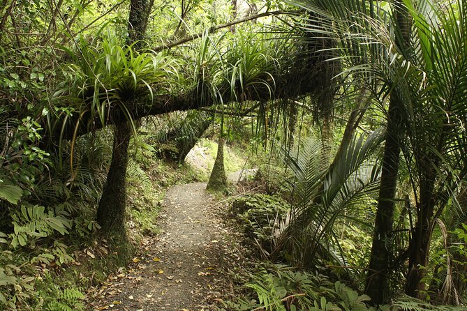 Ultimate Auckland Experience Full Day Tour with Brewery Lunch - Waterfront beginnings at Te Toka o Apihai Te Kawau