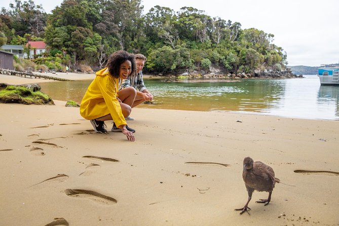 Ulva Island Explorer from Stewart Island - Key points to know before you go