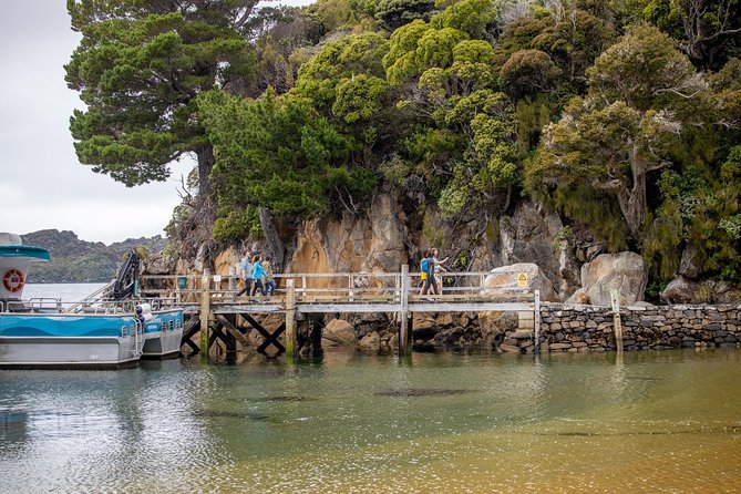 Ulva Island Explorer from Stewart Island - Why this short Stewart Island trip earns its place