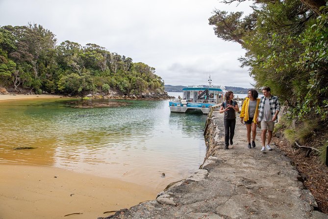 Ulva Island Explorer from Stewart Island - A gentle walk with a real time limit