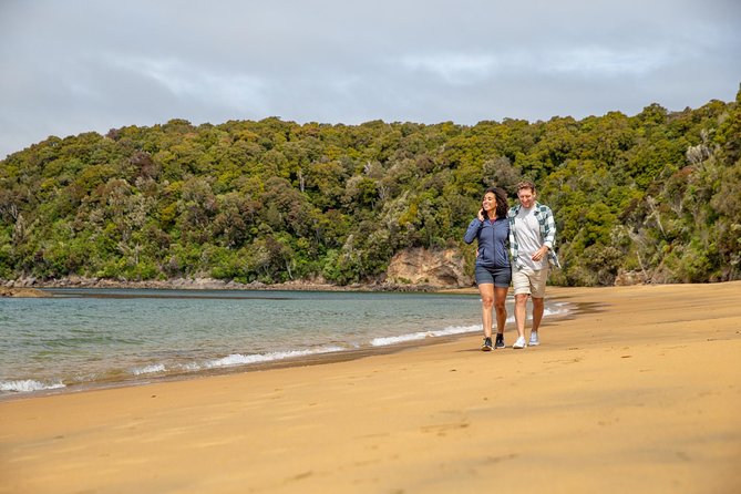 Ulva Island Explorer from Stewart Island - The group size improves the nature walk