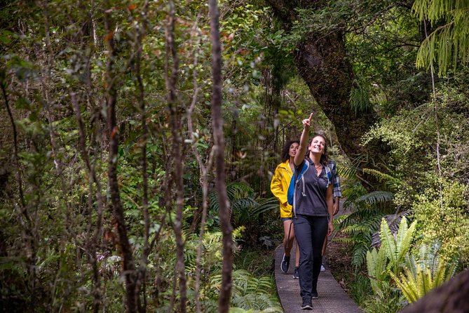 Ulva Island Explorer from Stewart Island - Is $89.98 good value?