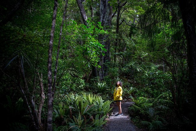 Ulva Island Explorer from Stewart Island - Who should book the Ulva Island Explorer?