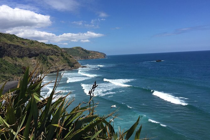 Vineyards Honey and Black Sand Beaches from Auckland - Why this makes a good Auckland day out