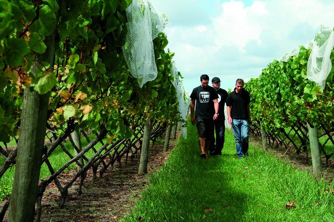 Vineyards Honey and Black Sand Beaches from Auckland - Soljans Estate Winery, port, and lunch