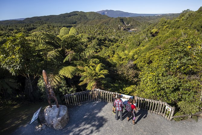Volcanic Valley Self Guided Walking and Hiking at Waimangu - The free shuttle back uphill