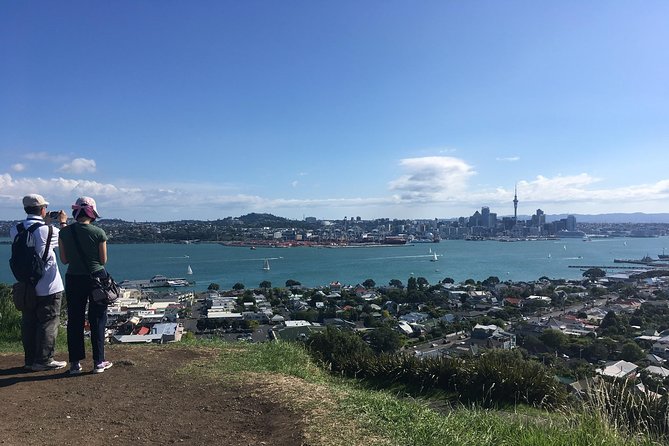 Volcanoes, Coasts, and Secret Spots Afternoon Tour in Auckland - Why This Tour Adds Something Different to Auckland