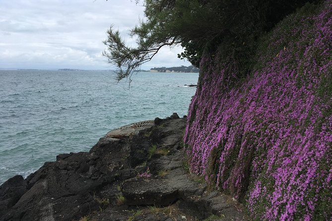 Volcanoes, Coasts, and Secret Spots Afternoon Tour in Auckland - Cyril Bassett VC Lookout and the Sky Tower View