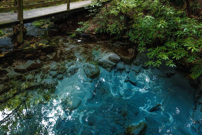 Voyages of Maori at Mitai Maori Village - How Much Value You Get for $86.26