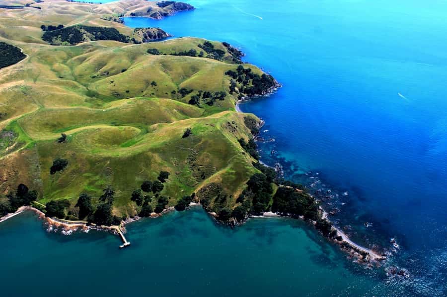Waiheke Island: 30-Minute Scenic Flight - Why seeing Waiheke from the air works
