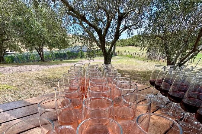 Waiheke Island: Afternoon Wine Affair with Ocean Front Lunch - The guide adds the island context