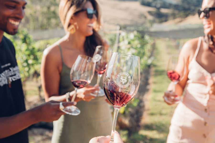Waiheke Island: Afternoon Wine Tour with Oceanfront Lunch - Why an afternoon wine tour works well on Waiheke