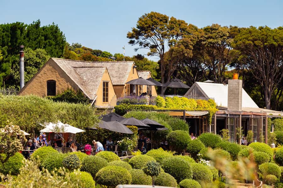 Waiheke Island: Afternoon Wine Tour with Oceanfront Lunch - Who will enjoy this tour most?