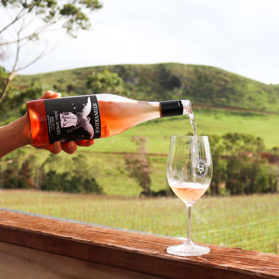 Waiheke Island: Afternoon Wine Tour with Oceanfront Lunch - Booking flexibility and what to budget