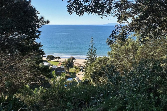 Waiheke Island Bush & Beach Walk - The beach ending adds useful breathing room