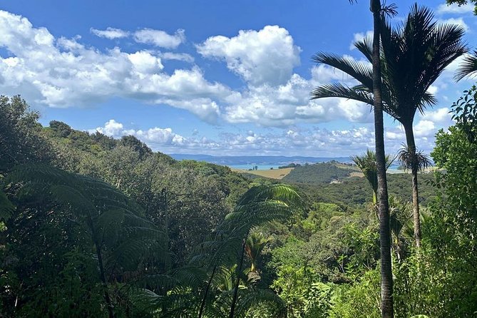 Waiheke Island Bush & Beach Walk - Who will enjoy this walk most