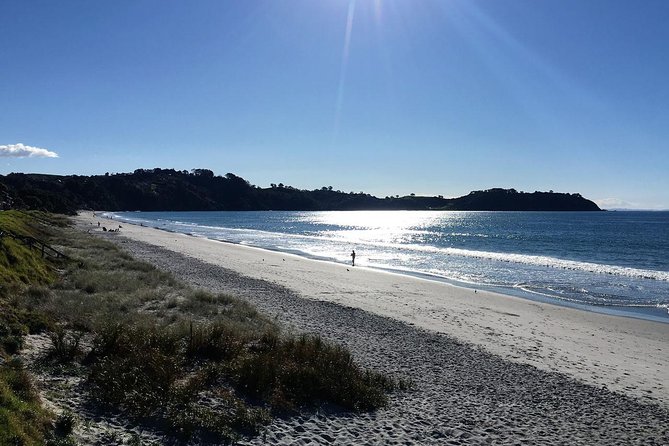Waiheke Island Bush & Beach Walk - A five-hour walk through bush and along the coast