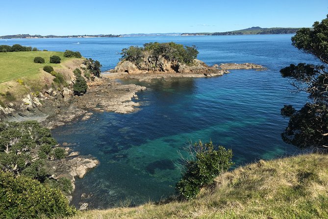 Waiheke Island Double Headland Coastal Walk - What the guide adds to the Waiheke scenery