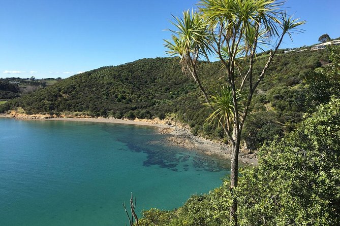 Waiheke Island Double Headland Coastal Walk - Who will enjoy this walk most?