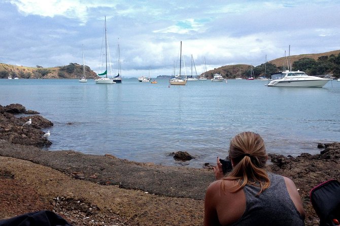 Waiheke Island Double Headland Coastal Walk - Practical planning before you book