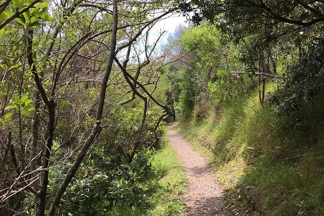 Waiheke Island Double Headland Coastal Walk - Matiatia and Church Bay: two headlands, one coastal day
