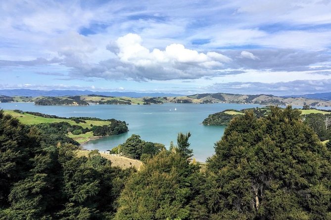 Waiheke Island Experience Tour - Why a private 4WD makes sense on Waiheke