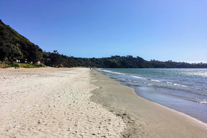 Waiheke Island Experience Tour - Waiheke Distilling Co, an optional spirit stop