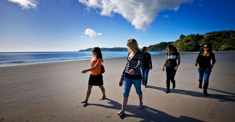 Waiheke Island: Ferry & Hop-On Hop-Off Explorer Bus Tickets - Who Will Like This Island Combination Most?