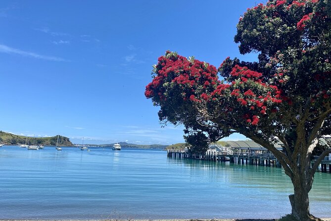 Waiheke Island Gourmet Food and Wine Tour - Kennedy Point Vineyard begins the tasting