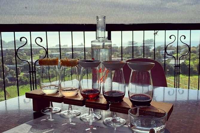 Waiheke Island Gourmet Food and Wine Tour - The guides make the drives count