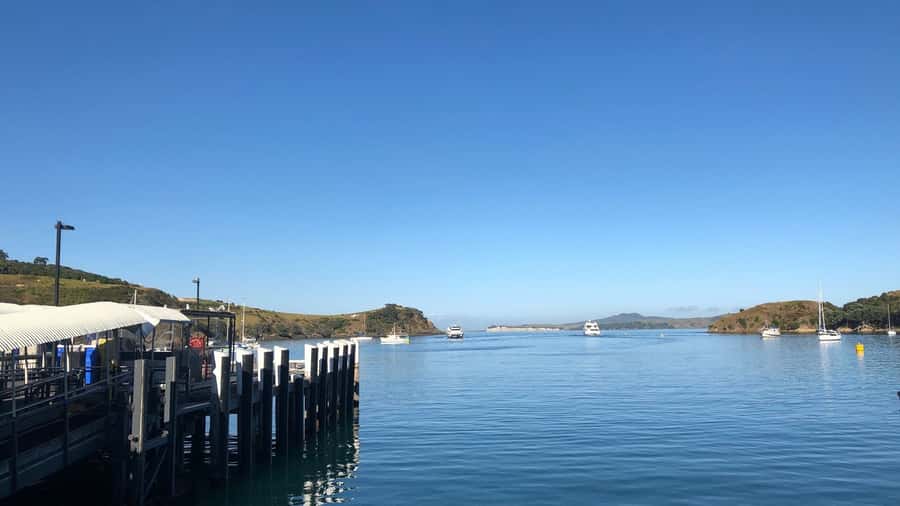 Waiheke Island Gourmet Food and Wine Tour with Lunch - First vineyard: wine with local food
