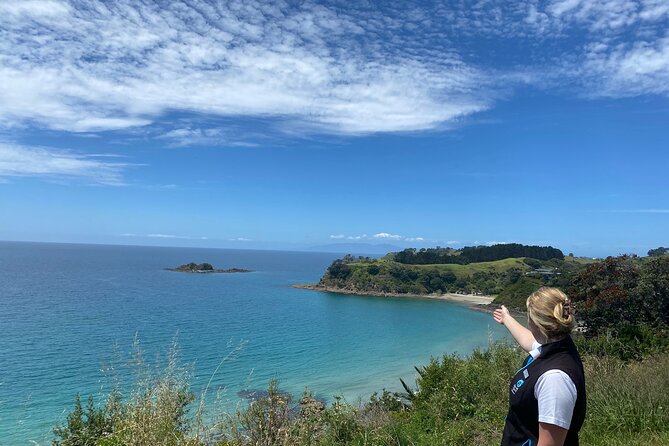 Waiheke Island Half Day Scenic Wine and Lunch - Why this half-day Waiheke tour works