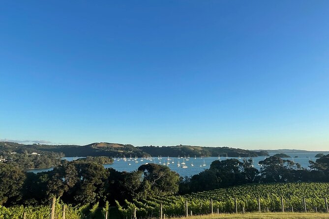 Waiheke Island Half Day Scenic Wine and Lunch - What the guides add to the day