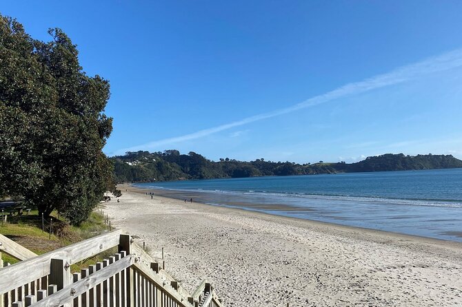 Waiheke Island Half Day Scenic Wine and Lunch - Is $170.66 good value?