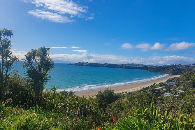 Waiheke Island Half Day Scenic Wine and Lunch - Mudbrick Vineyard and the first great view