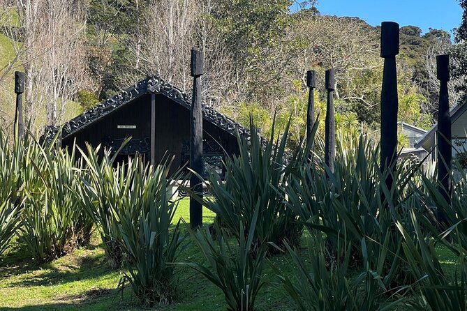 Waiheke Island History and Heritage Tour - Why this Waiheke tour feels different