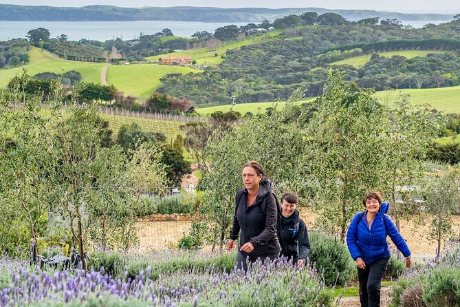 Waiheke Island History and Heritage Tour - Native bush, medicinal plants, and the pa site