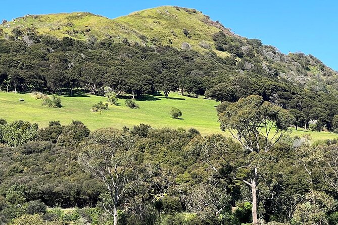Waiheke Island History and Heritage Tour - What the $381.65 price really buys you