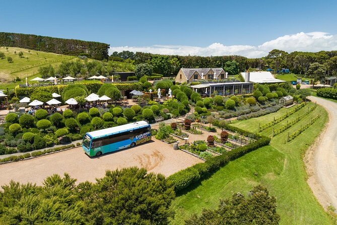 Waiheke Island Hop-On Hop-Off Explorer Bus - Starting at Matiatia and handling the ferry