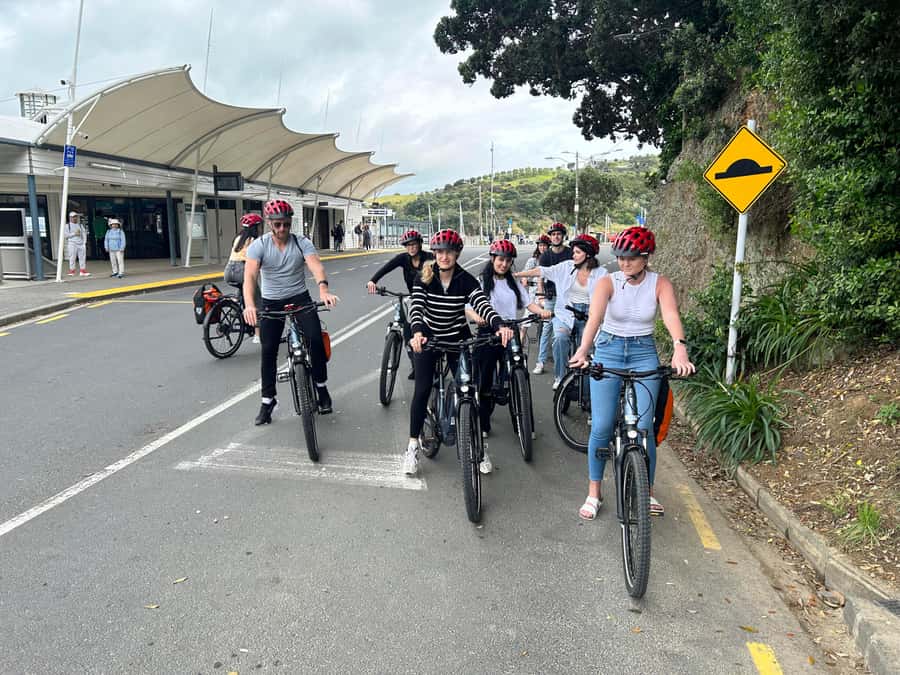 Waiheke Island: Premium eBike Adventure & Self-Guided Tour - The Waiheke Guide App is more useful than a generic map
