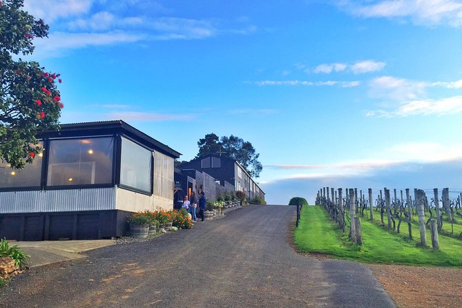 Waiheke Island Premium Wine Tour with Tastings - Five things to know before you book