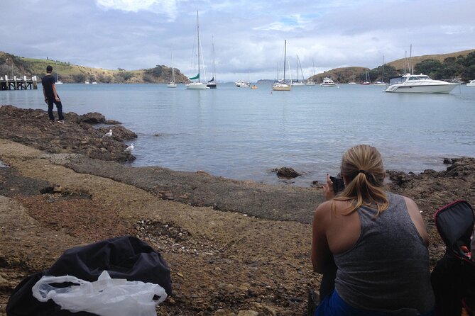 Waiheke Island Private Double Headland Walk - Starting at Matiatia Ferry Terminal