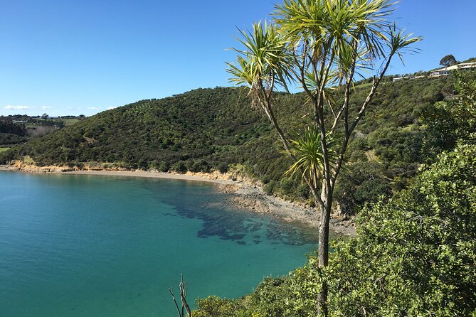 Waiheke Island Private Double Headland Walk - The Human Side of the Guiding