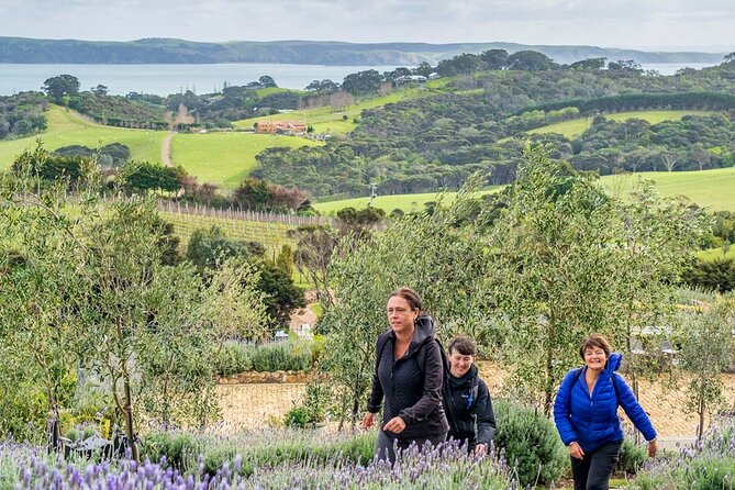 Waiheke Island Private History and Heritage Tour - Native bush, medicinal plants, and a fortified village