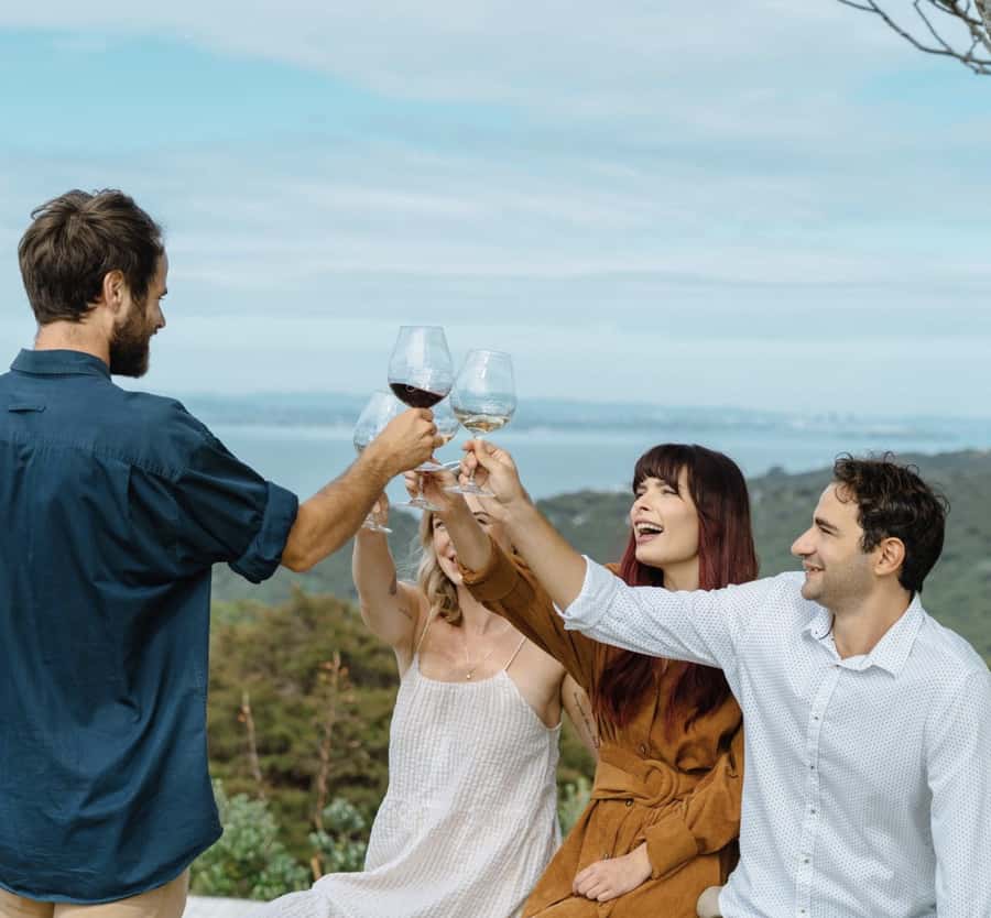 Waiheke Island: Scenic Island Wine Tour & Local Wine Tasting - Who should book this experience?
