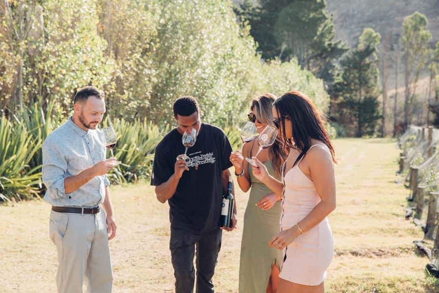 Waiheke Island: Scenic Island Wine Tour & Local Wine Tasting - Choosing between two very different Waiheke tours